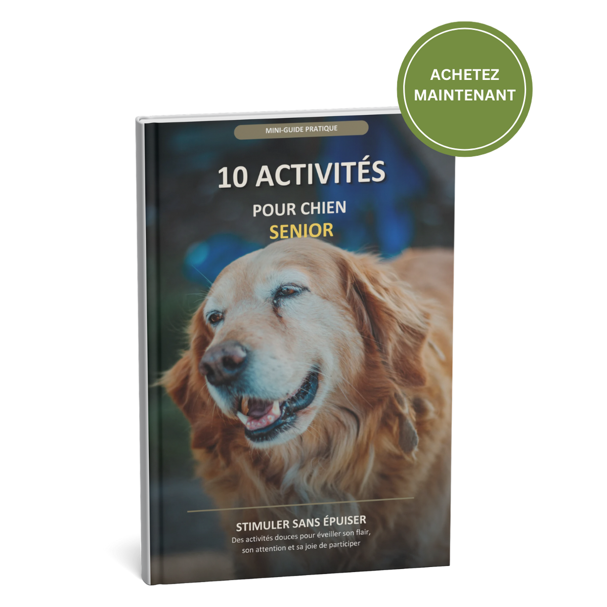 EBook - 10 activités pour garder son chien senior actif et heureux