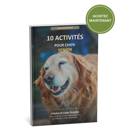 EBook - 10 activités pour garder son chien senior actif et heureux